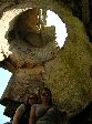 2006-0606-1148-31.jpg